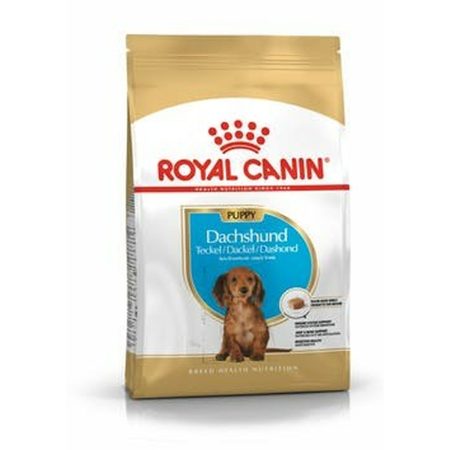 Io penso Royal Canin  Breed Dachshund Jun Cucciolo/Junior Riso Vegetale 1